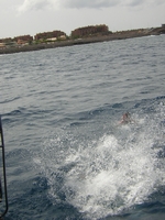 Tenerife 2005 2 84